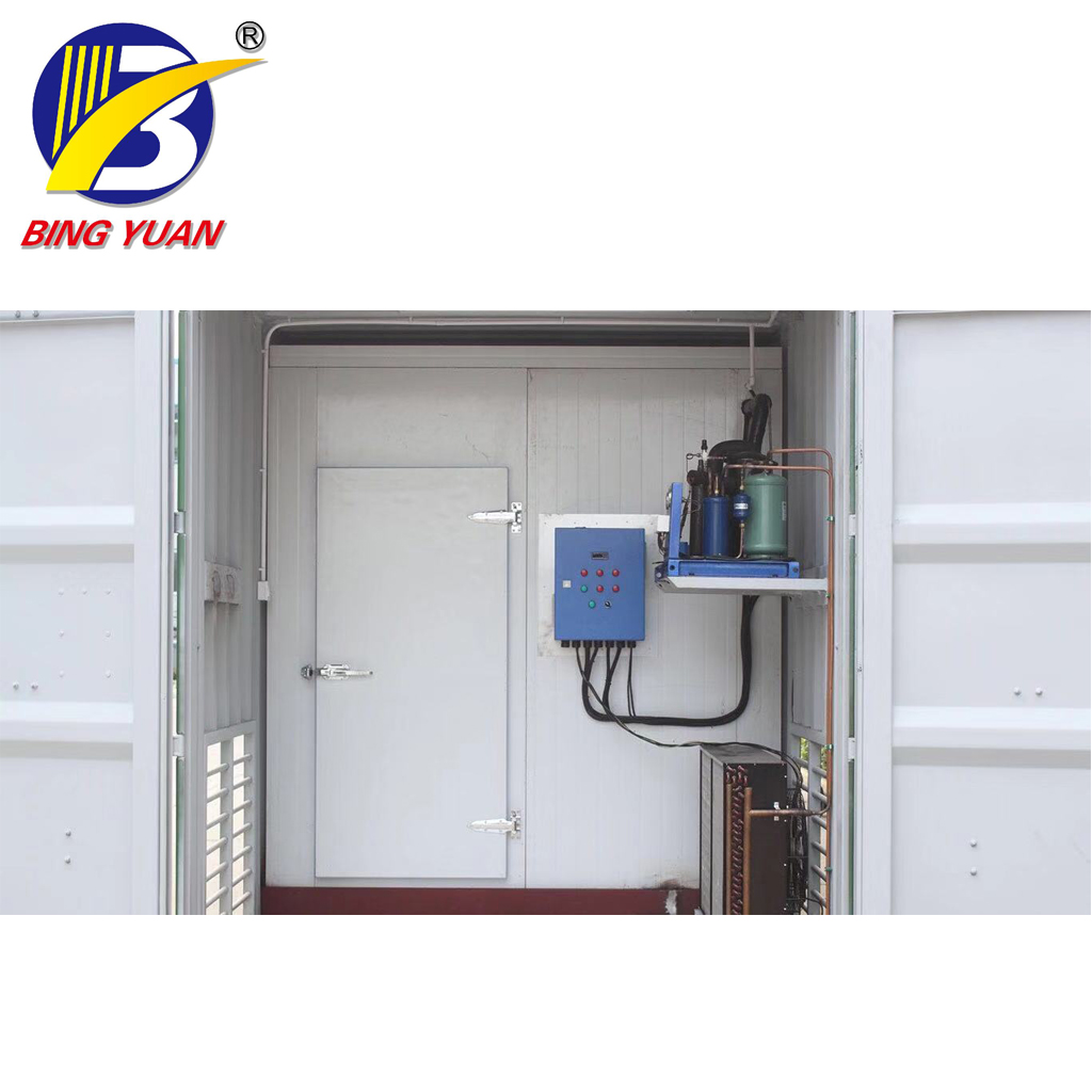 5898x2350x2390mm 17 Ton Solar Power Cold Storage