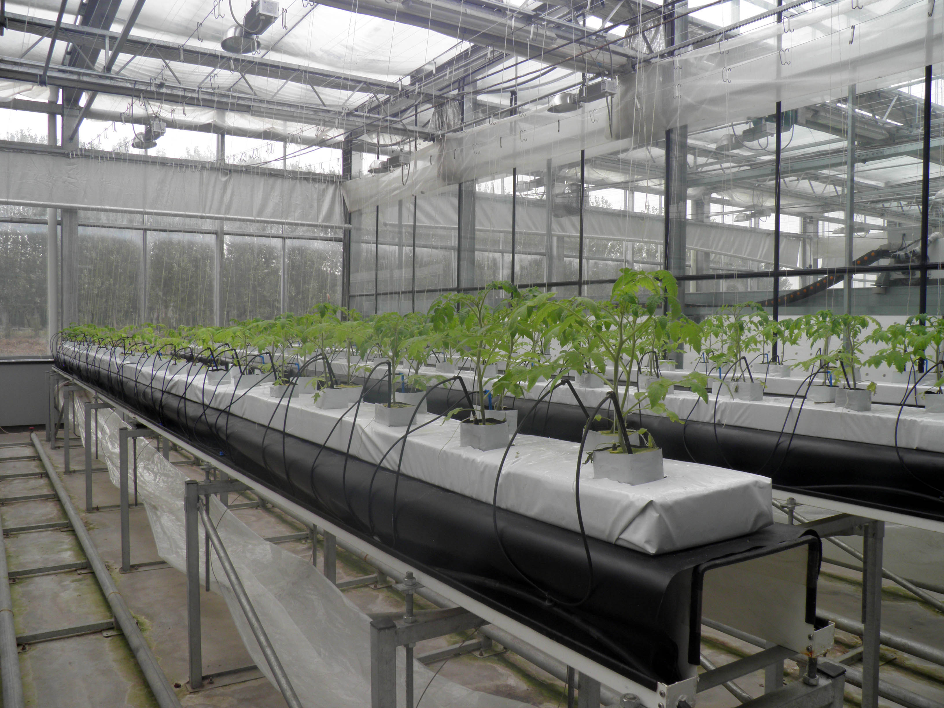 Food Grade PVC Hydroponics And Cocopeat Hydroponic Cultivation Equipment
