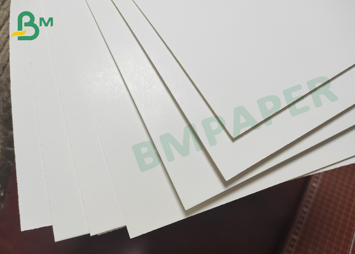 Coated ivory board from guangzhou bmpaper co., ltd