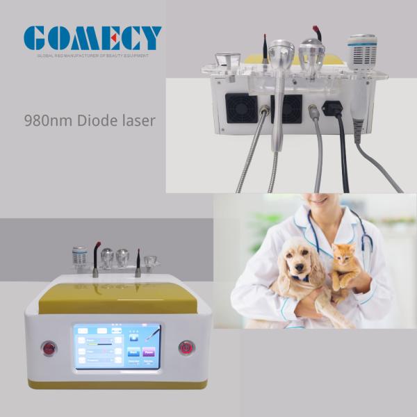 2025 Best Product 980nm Diode Laser Veterinary Laser Physiotherapy for Dogs Cats
