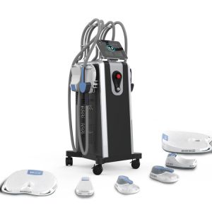 China US Plug EMS Machine for Weight Loss with AC110V-220V Input Voltage and 2 Years Warranty on sale