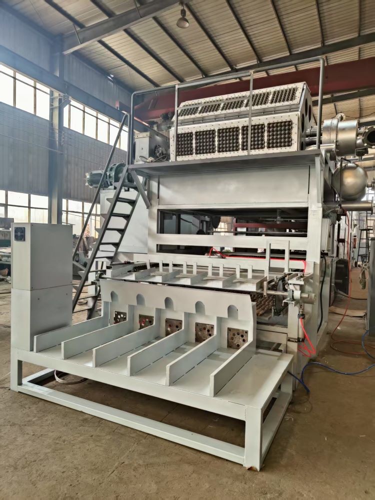 700-5000pcs/H Pulp Moulding Machines Steel Processing Egg Carton Manufacturing Device For Seamless Production