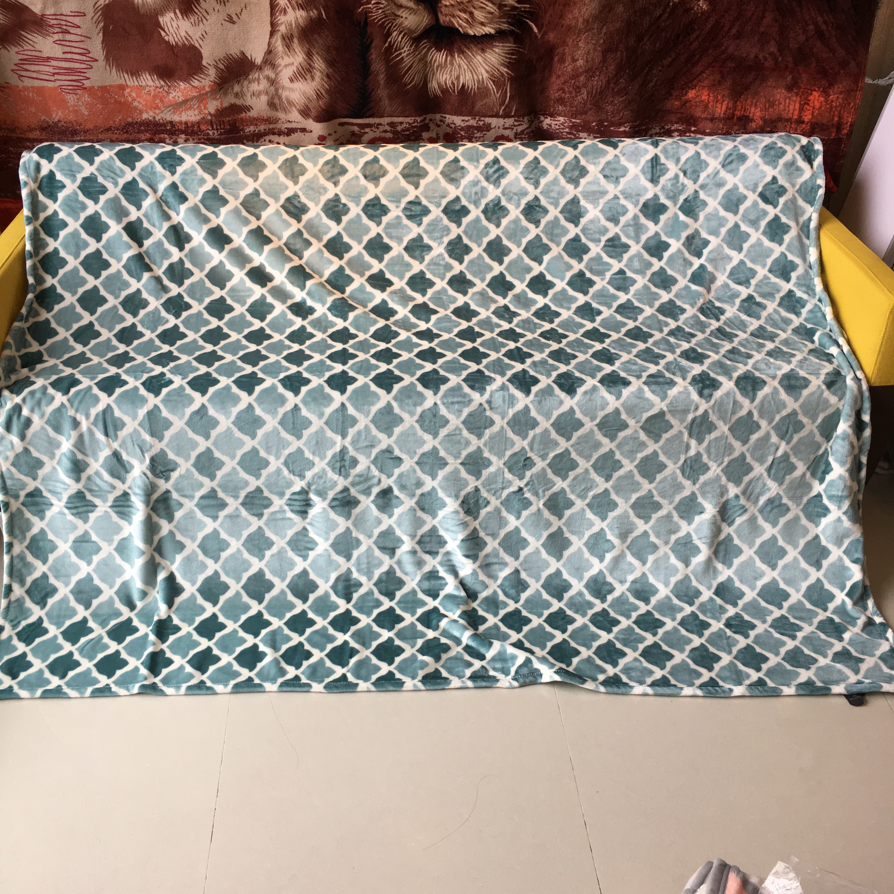 Thick Polyester Flannel Plush Blanket High Grade Offset Printing For Cold Season