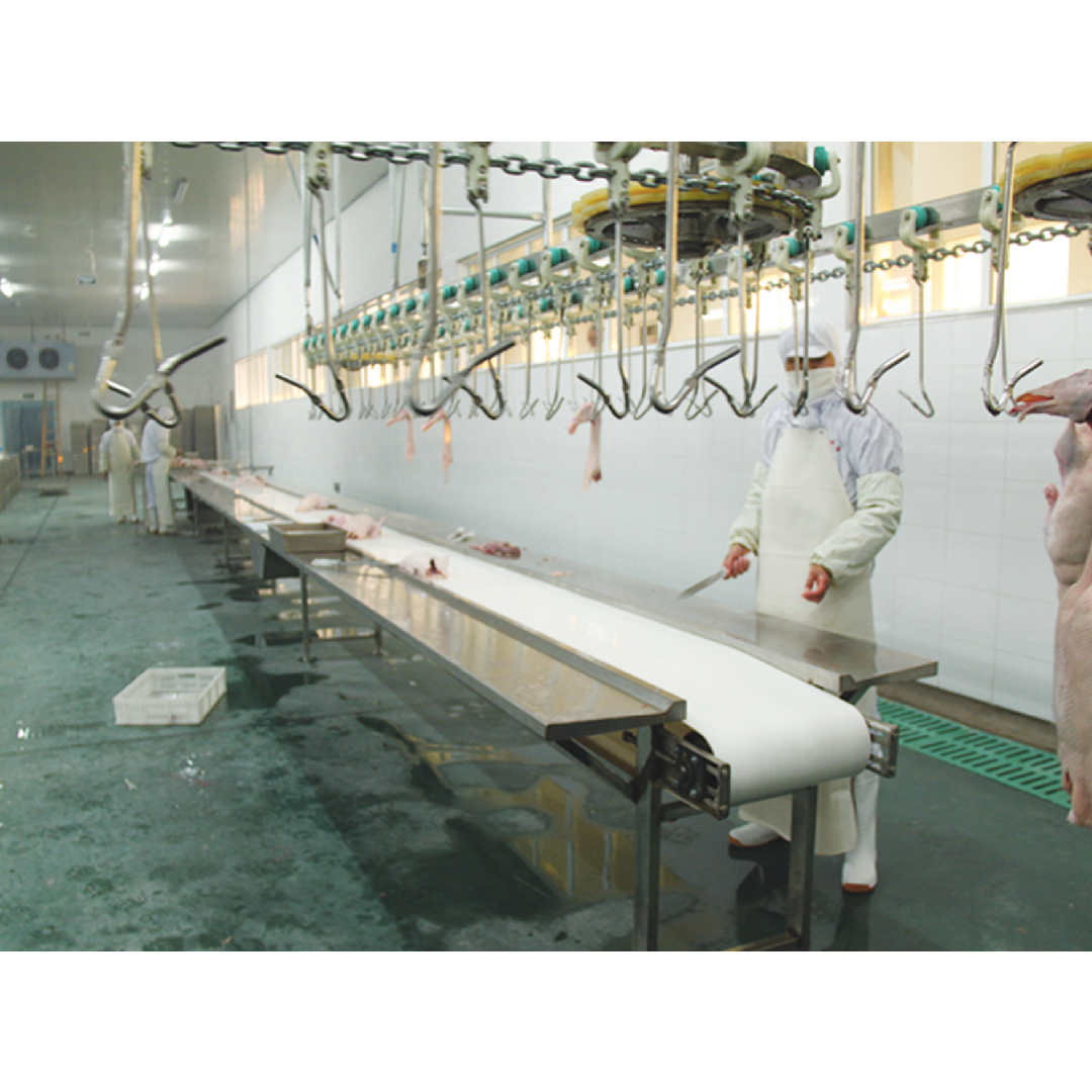 500BPH - 12000BPH Capacity Halal Goose Slaughter Equipment Customizable