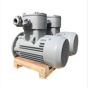 Industry Application Asynchronous Three Phase Flame Proof Electric Motor