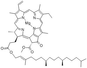 CHLOROPHYLL A Structure