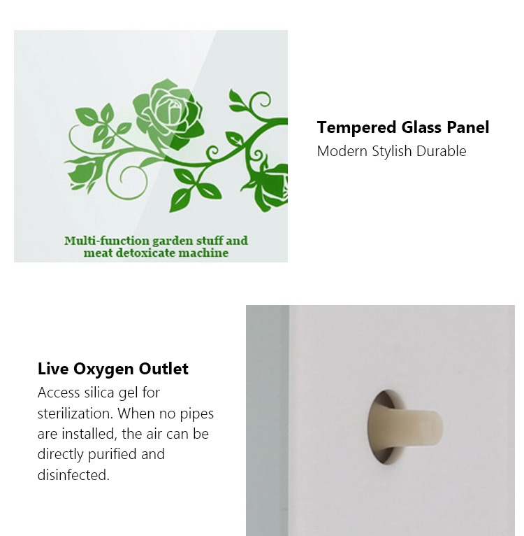 Homefish Glass Panel Portable Fruit Vegetable Sterilizing Intelligent Multifunction Machine 400mg/h Ozone Generator for Kitchen