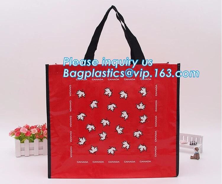Custom Huge Luggage PP Woven Bag With Zipper Lock,PP Woven Shopping Bag,Factory customized cheap laminated pp woven shop