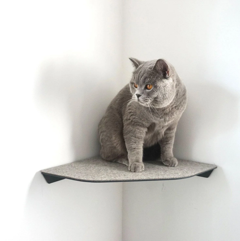 Versatile Steel Cat Wall Shelf Wall Furniture Perch Cat Hammock Bed Metal Cat Climber