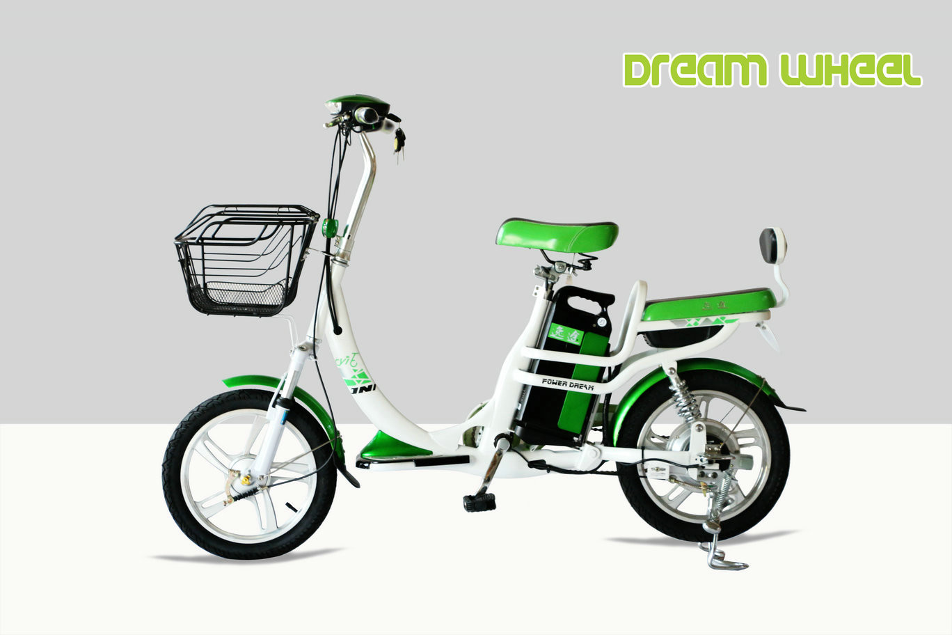 36kgs Pedal Assist Electric Bike 48V 350W 12Ah Lithium Battery
