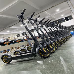 China Rechargeable Aluminum Electric Scooter Lithium Battery Brushless Controller on sale