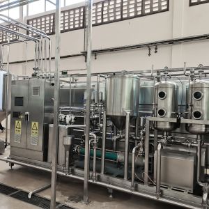220V SUS304 Mango Juice Processing Line Destoning Removing