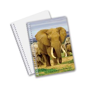 Factory Custom B5 A5 A6 3d Printing Lenticular Notebook Cute Spiral Student