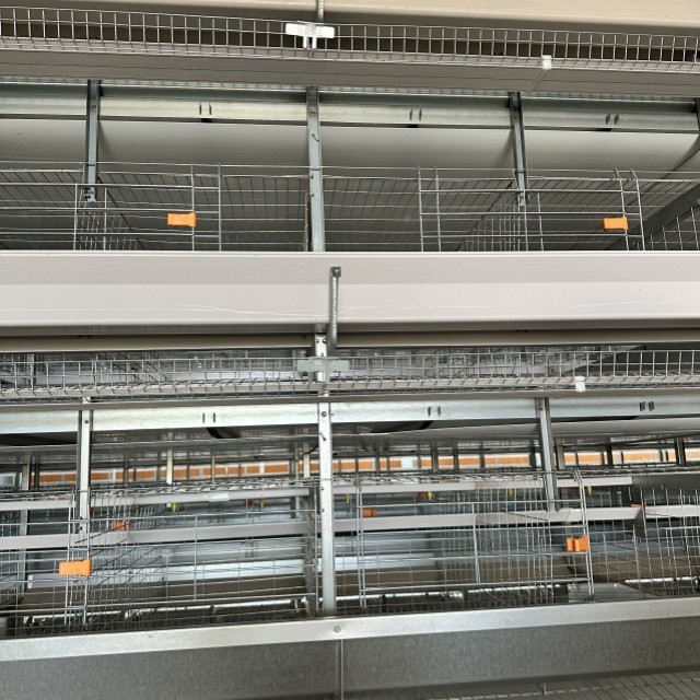 Automated Laying Hens Machines 8 Tier Chicken Layer Battery Cage Chicken Cages Hot Galvanized Egg Layer Poultry Farms