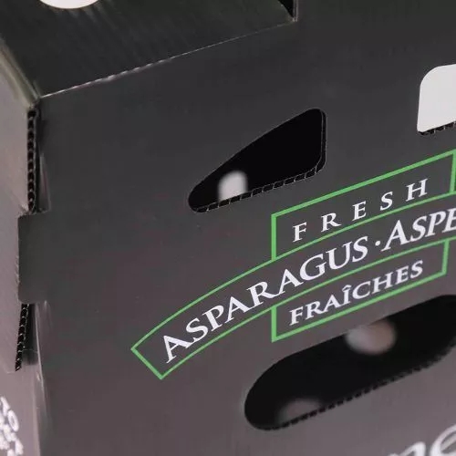 6mm 8mm Asparagus Correx Packaging Boxes Mango Coroplast Storage Boxes