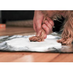 Uncrackable Pet Keepsake Frame , Non Toxic Paw Print For Dogs / Cats / Pets