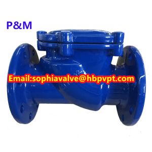 resilient seal PN10/PN16 cast iron swing check valve