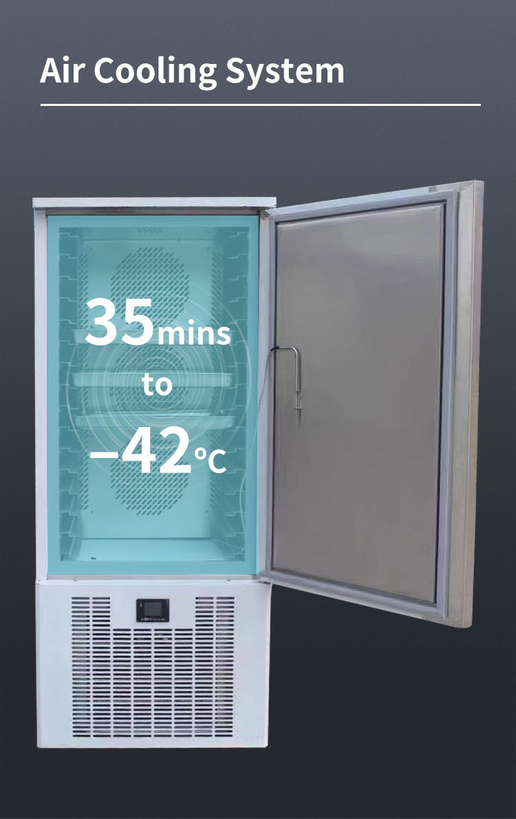 15 10 Pan Scommercial Flash Freezer 5 Pans Blast Chiller Shock Freezer