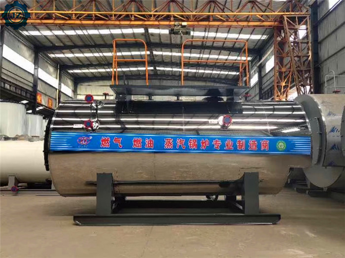 Industrial Horizontal Gas Oil Fired Steam Boiler Price For EPS Production Line