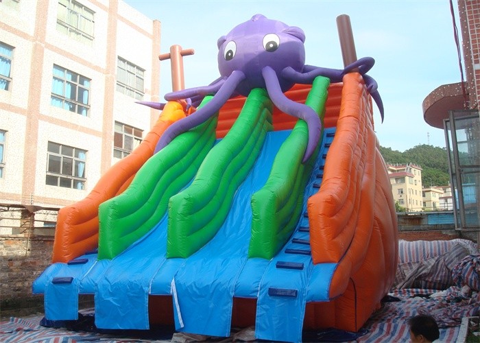 Amusing Commercial Inflatable Slide , Inflatable Pool Slide For Water Park