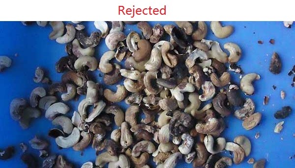 2.4 kw Optical Cashew Color Sorter