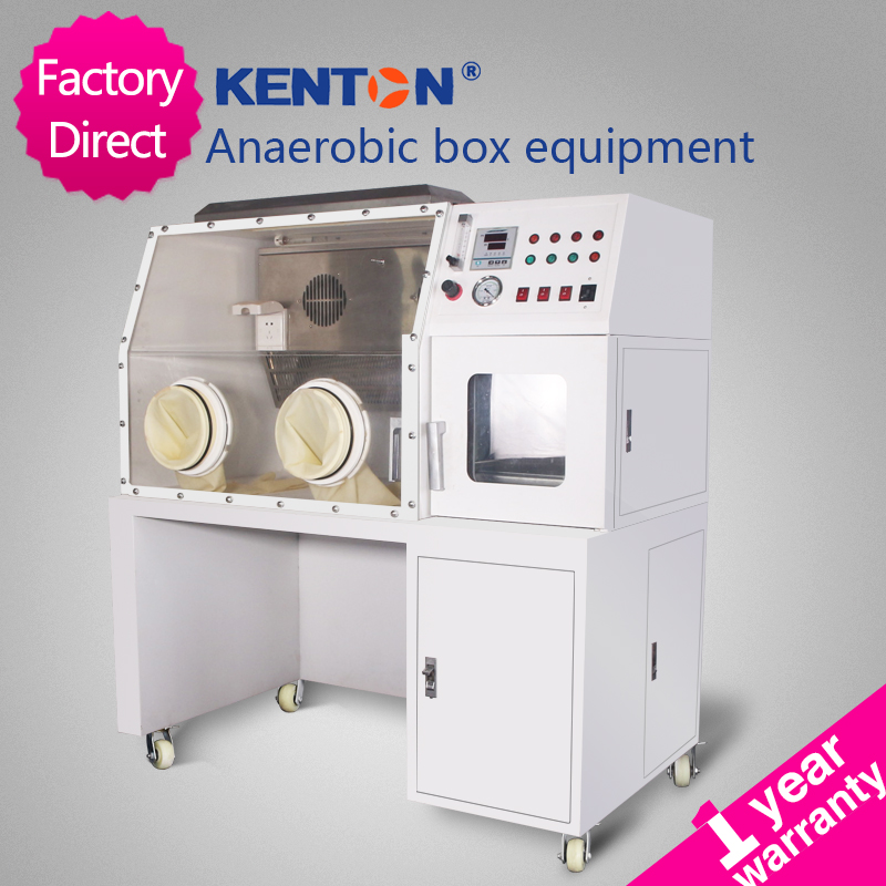 Automatic Heating Anaerobic Incubator Vacuum Chamber Bacterial Incubator ISO