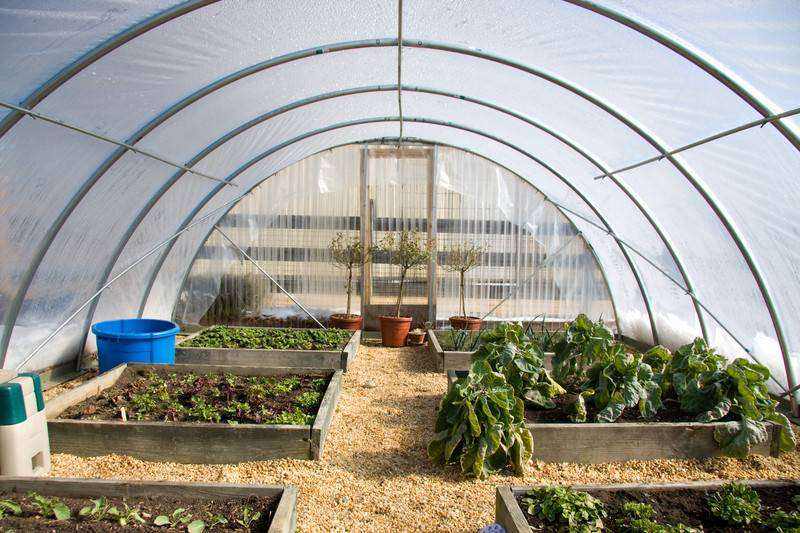 Agricultural PE Film, Agriculture Polyethylene, Film, mulch films, horticultural polyethylene film