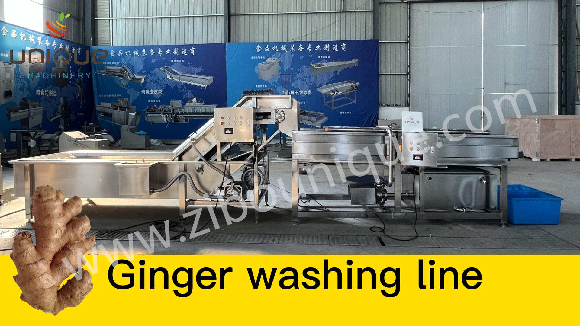 Cut Leafy Vegetables Industrial Automatic Cabbage Slicer Coleslaw Kimchi Cutting Machine