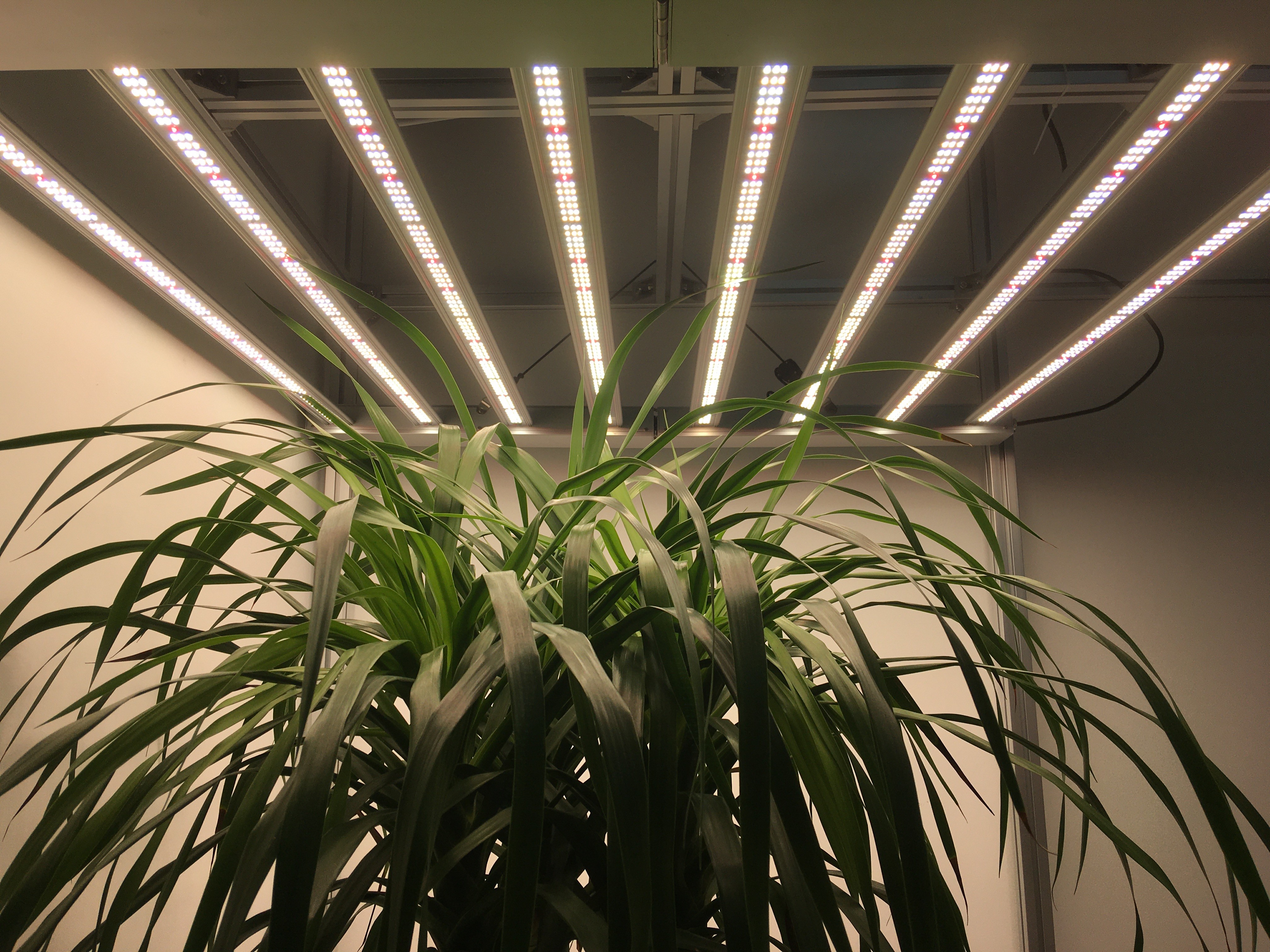 8 Bars L 2.8umol/J 680nm 600w Led Grow Lights