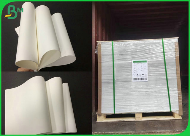 White Color Resistant to Tear 180 Micron Matt PP Paper For Inkjet Printing 