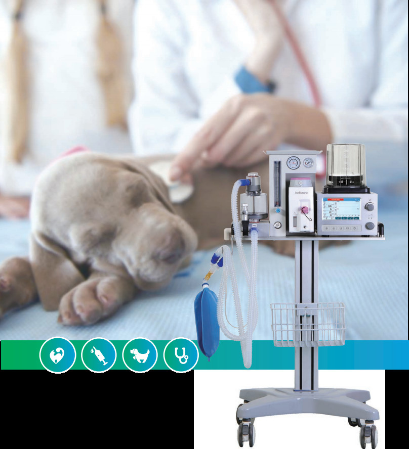 Clinics Hospitals Veterinary Anesthesia Ventilator DM6B Portable Anesthesia Machine Veterinary