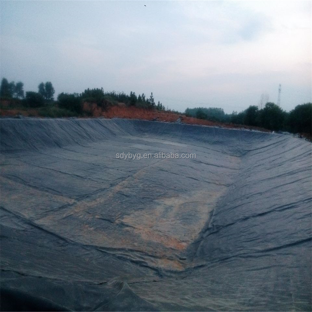 100% Virgin HDPE Geomembrane Liners for Waterproof Projects 0.2 2mm Thickness Durable