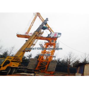 D5020 Luffing Jib Crane Tower 50M Arm 10 tons Load Full VFD Mechanisms