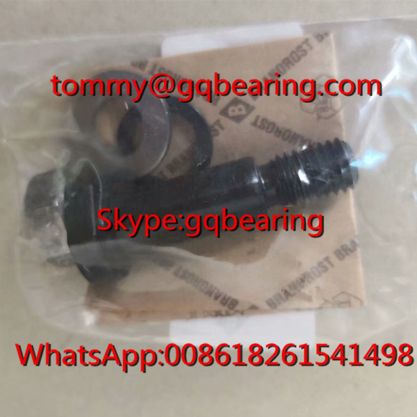Germany Origin Gcr15 Steel Material INA LFE12x45-A1 Journal Eccentric Bolt For Track Roller Bearing LFR