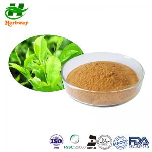 China 50% EGCG Green Tea Leaf Extract Powder For Reducing Blood Lipid on sale