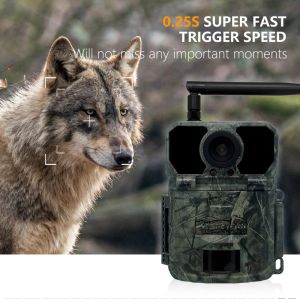  4G hunting trail camera KW895 with APP 2K FHD Video 30MP image waterproof IP67 up to 512GB storage for wildlife research Manufactures