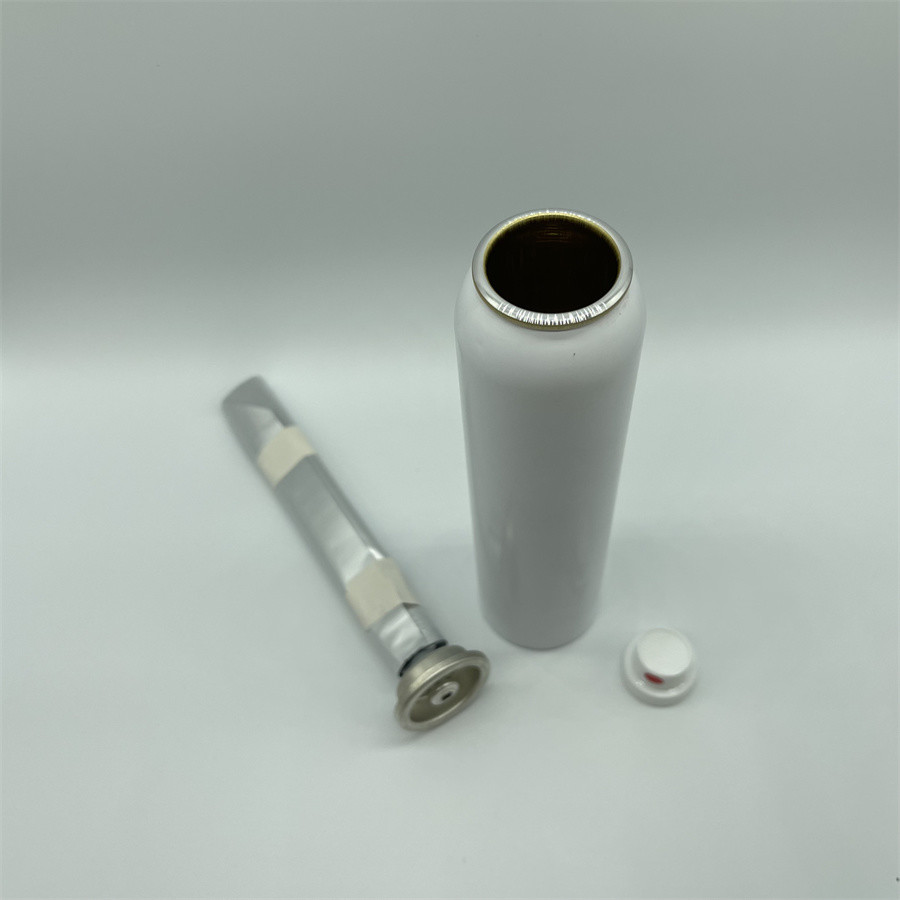 Advanced Valve with Bag System for Consistent and Clean Aerosol Dispensing – Perfect for Household and Industrial Use