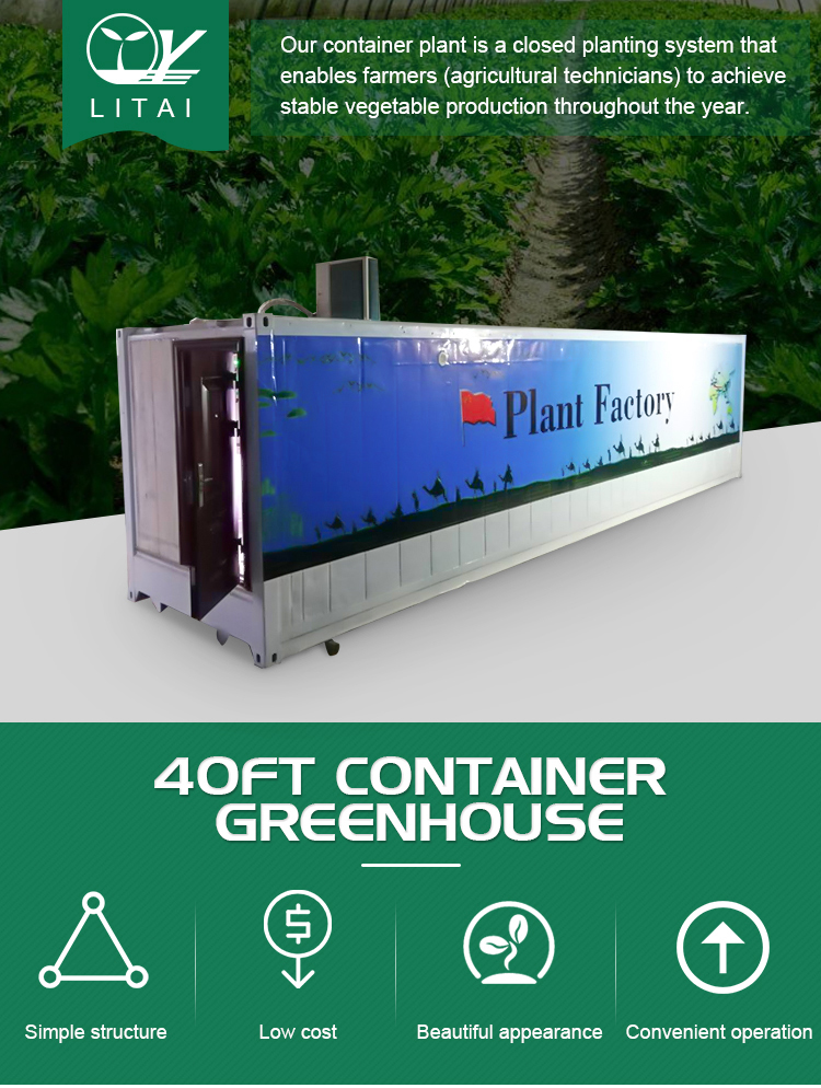 Temperature Climate Control 40 Foot Container Hydroponic Farm Greenhouse Agricultural Growing System
