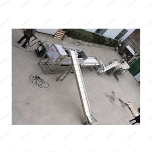 Automatic Litchi Picking Machine Kiwi Sorting Machine Carrot Grading Machine