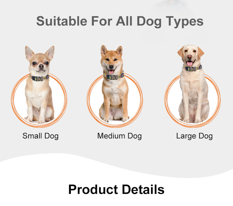 Personalize Design Harness Leash Set Injury Free Wearable For All Seasons