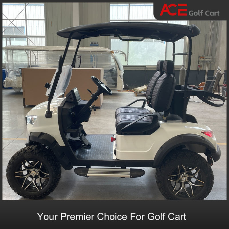 Plastic Cover 2 Seater Electric Golf Buggy Hunting Cart With CE Certificate