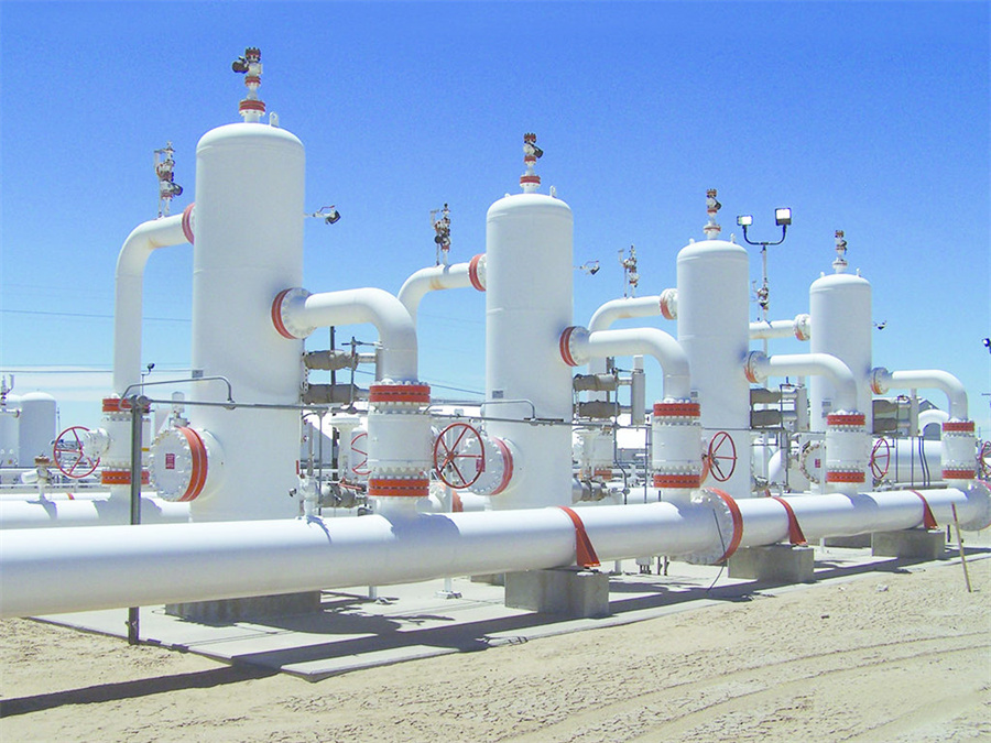 Biogas Project Industrial Gas Liquid Separator with 380V Voltage at Paper Mill