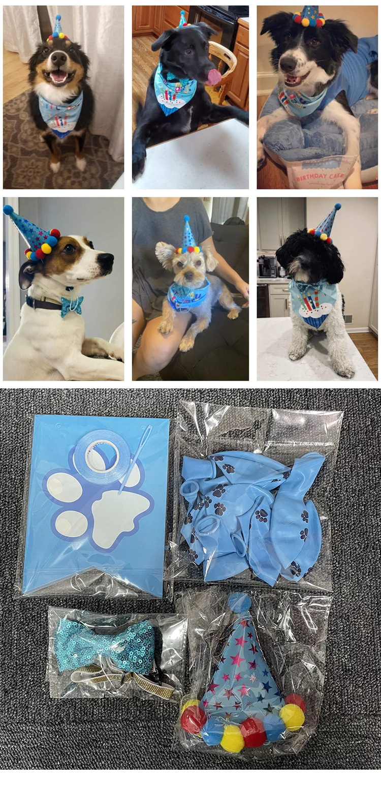 Dog's Birthday Party Supplies Pull Flag Hat and More Get Ready Celebrate