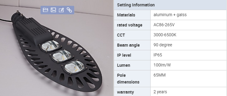 CE Certificated AC 220V Electric outdoor IP65 100W Waterproof LED Street Lights for road use