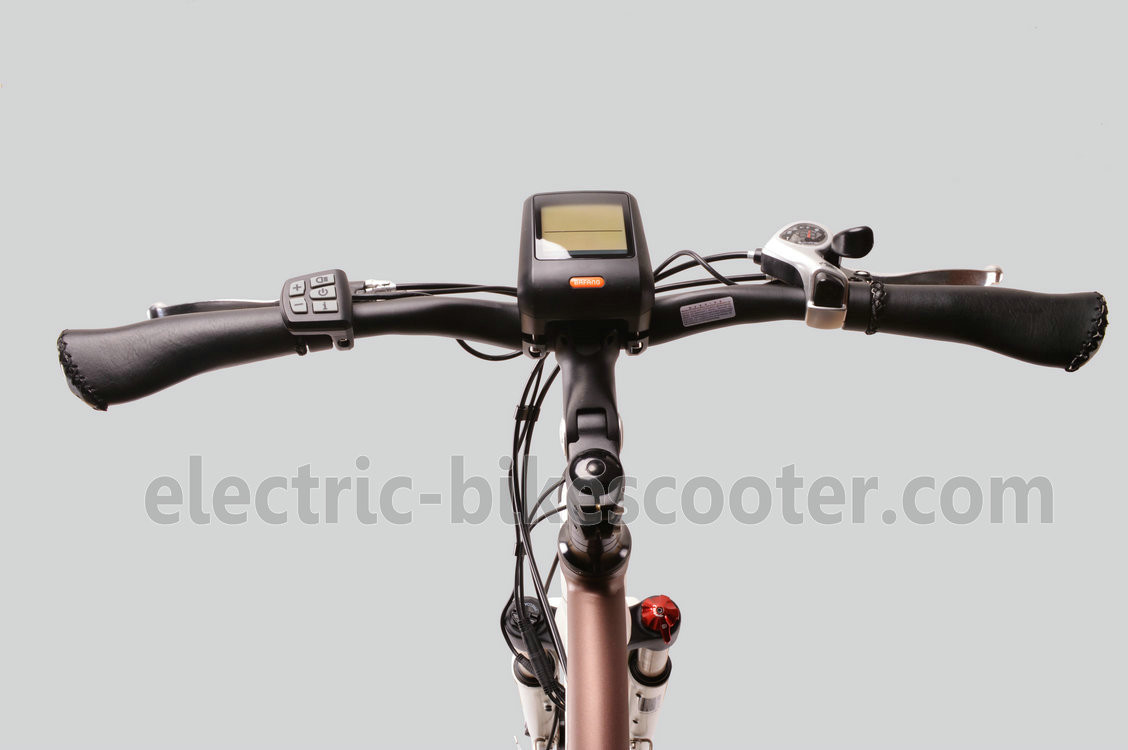 Electric Powered Mid Motor Electric Mountain Bike 10.4Ah Shimano RD-TX55