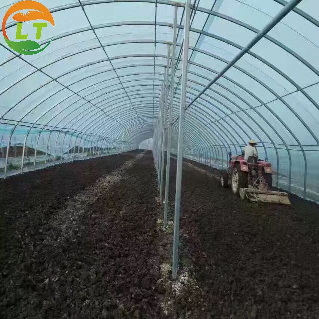 Galvanized Skeleton Polytunnel Greenhouse for Plants Growing Easy to Install by LiTai