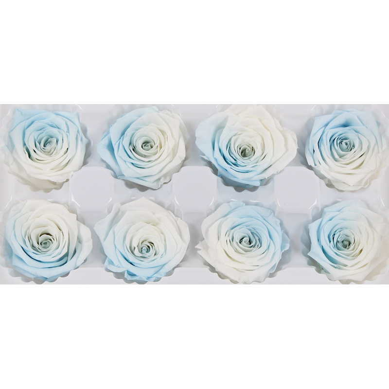 A Grade Preserved Rose Heads Customized Color Eternal Life Wedding Decoration