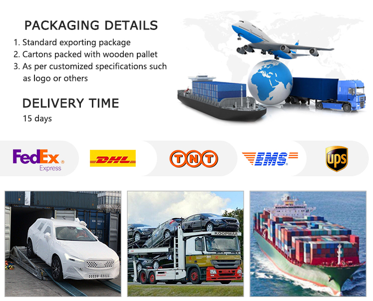 White Color SUV EV Cars 6 Seats 160 Km/H 4 Wheel Electric Car