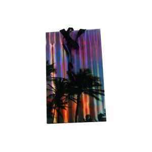 China Embossing Gift Bag With Handles , Debossing Custom Luxury Paper Bags on sale