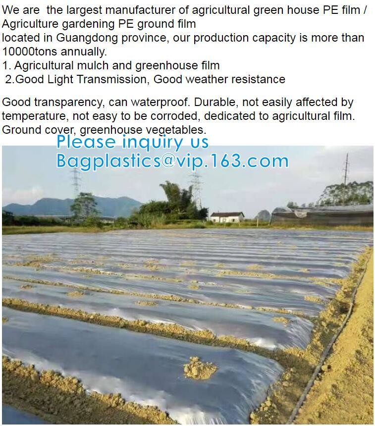200 Micron Uv Resistant Film Greenhouse Perforated Mulch Agricultural Film Vegetable Planting